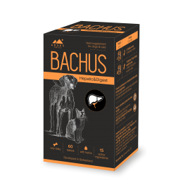 BACHUS Hepatic & Digest 60 tablete